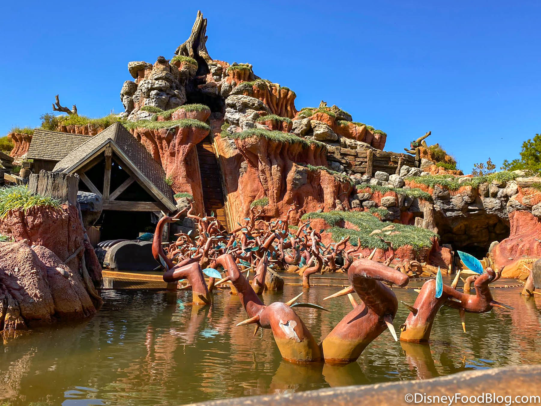 PHOTOS, VIDEO: Complimentary Ziploc Bag Distribution Has Begun at Splash  Mountain in the Magic Kingdom - WDW News Today