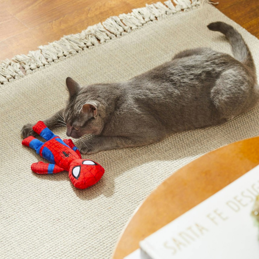 Last Minute Christmas Gifts For Your Pets The Disney Food Blog last-minute-christmas-gifts-for-your-pets-the-disney-food-blog