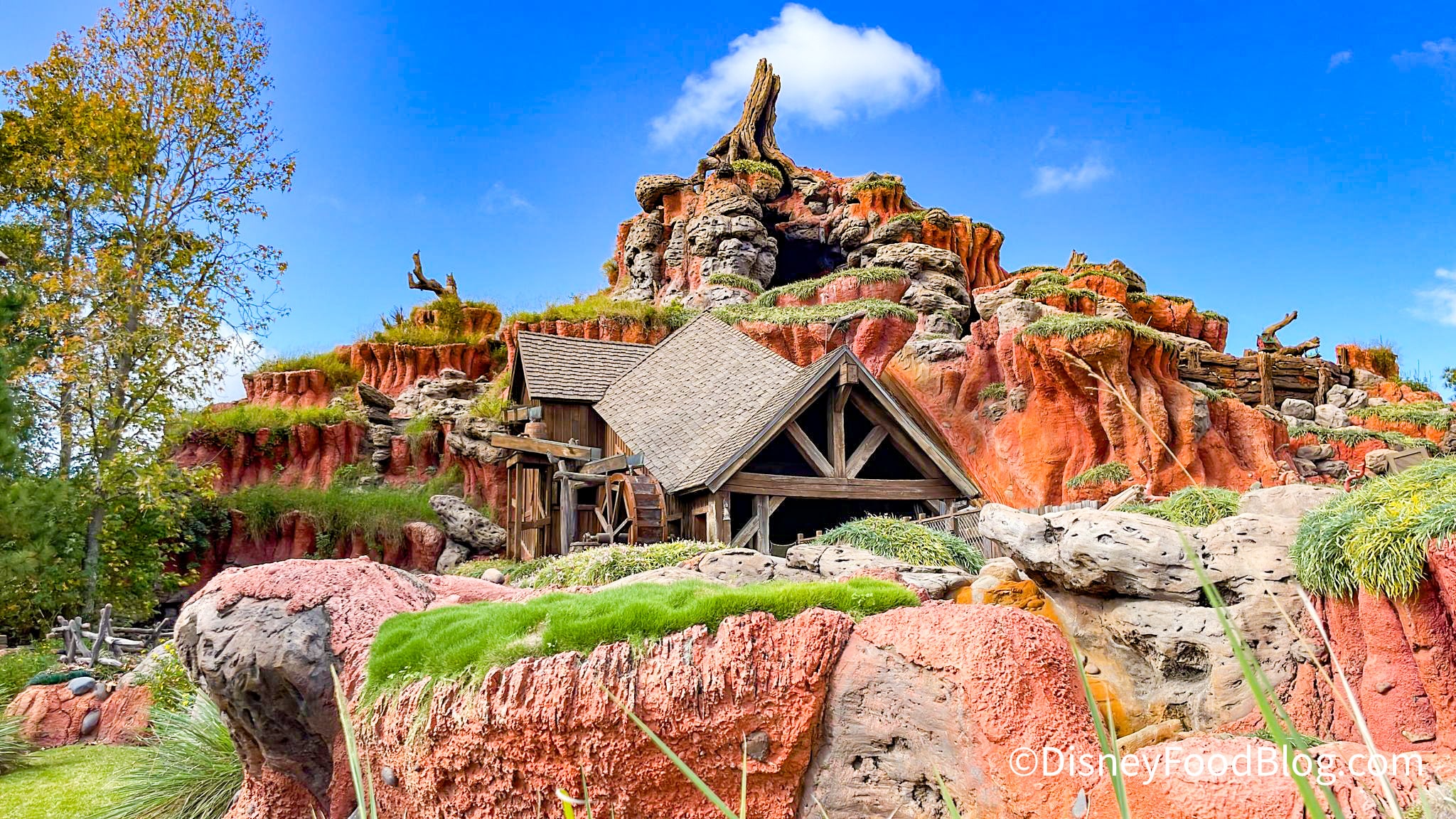 Splash Mountain Line The Disney Food Blog