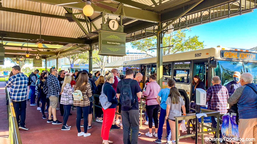 Walt Disney World Bus Transportation: Everything You Need To Know