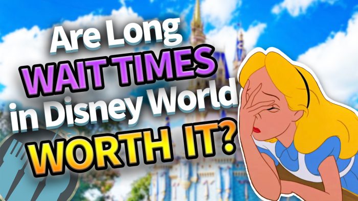 DFB Video: Are The Longest Wait Times in Disney World Worth It? | the ...