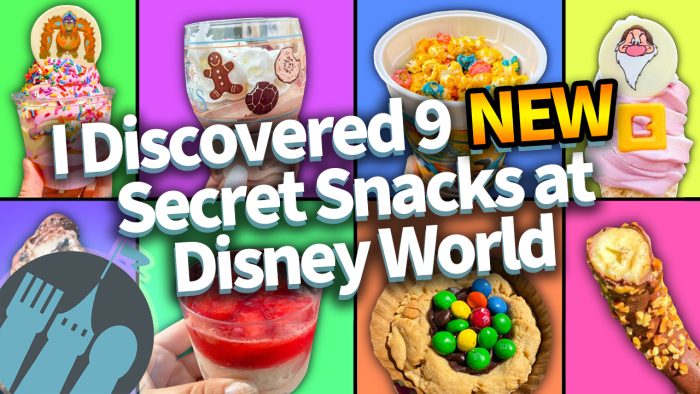DFB Video: I Discovered 9 NEW Secret Snacks at Disney World | the ...