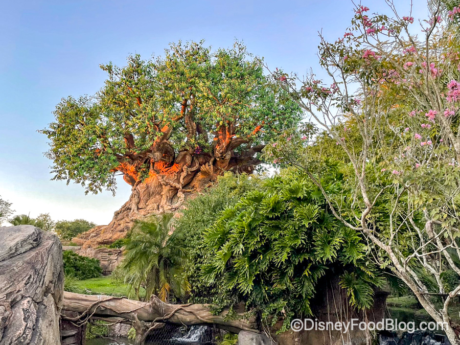 What’s New at Disney’s Animal Kingdom: Low Crowds but High Wait Times. Wait, What?