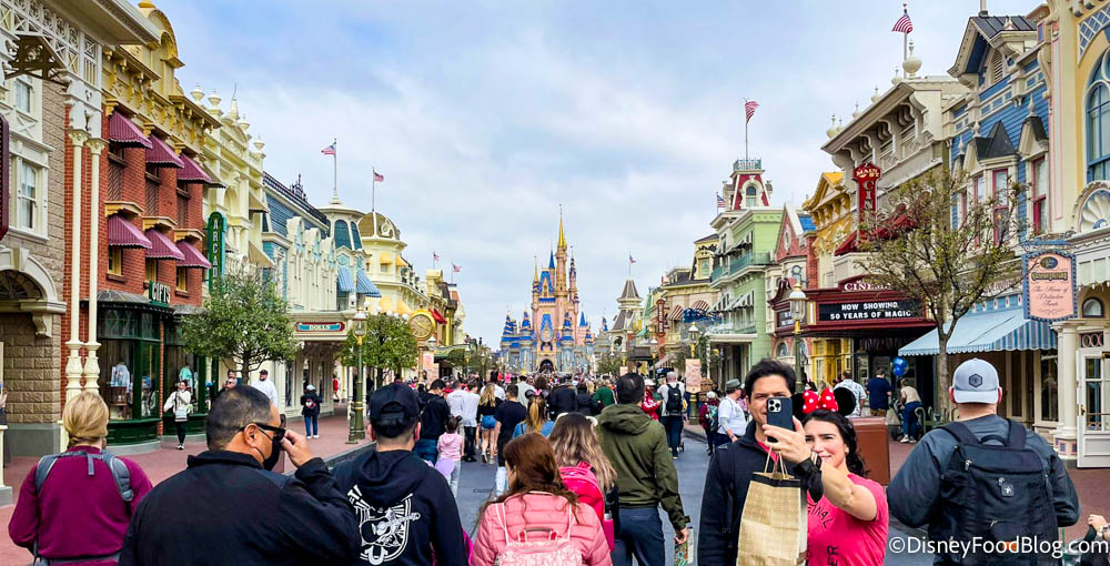 15 Things YOU Think Are NOT Worth The Hype in Disney World 🚫