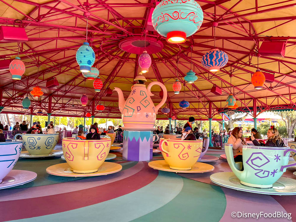 Disney's it's a small world ALL DAY or Mad Tea Party Dizziness? We Asked  Our Readers!