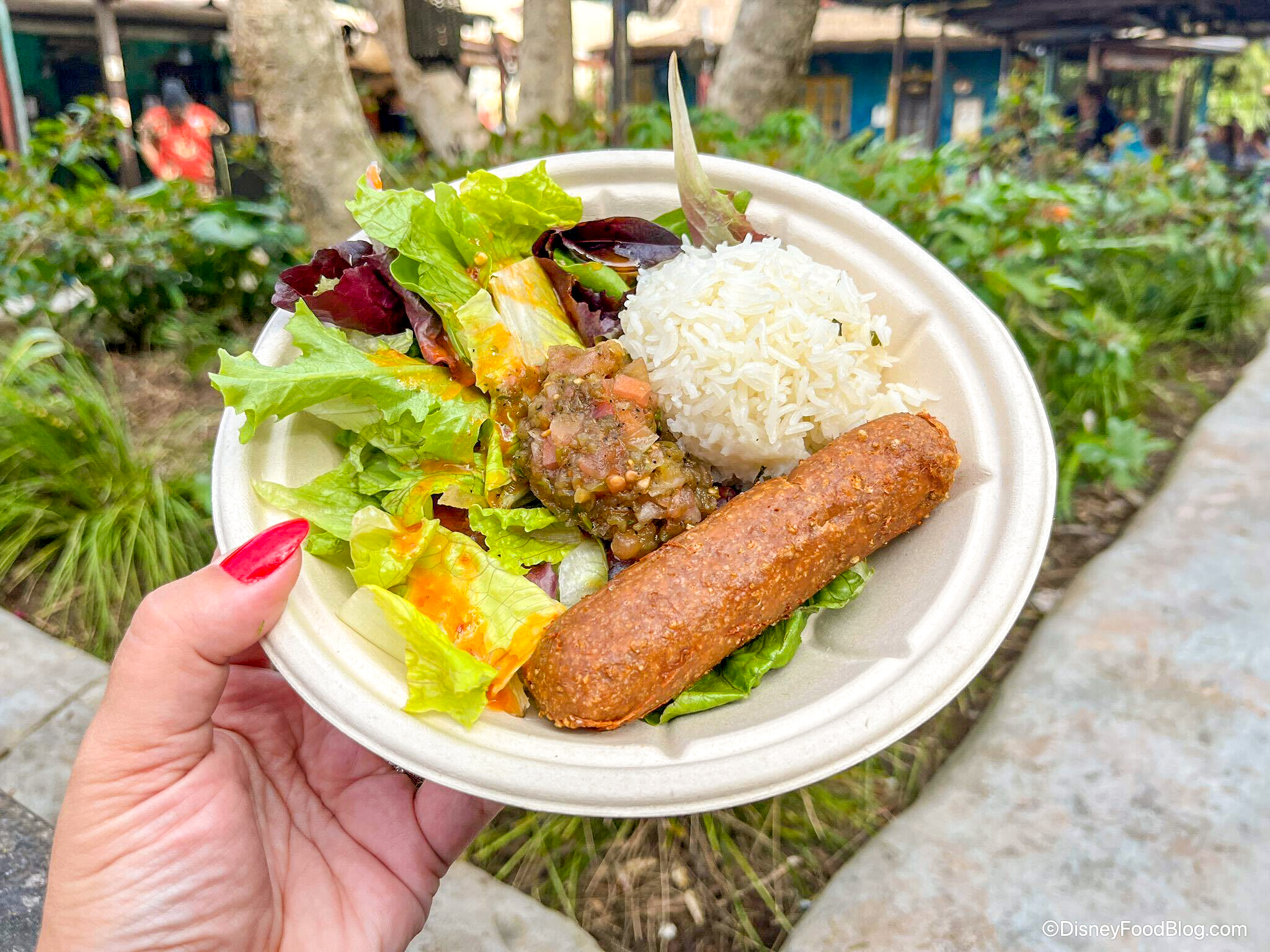 REVIEW Disney World, We Know You Can Do PlantBased Food MUCH Better
