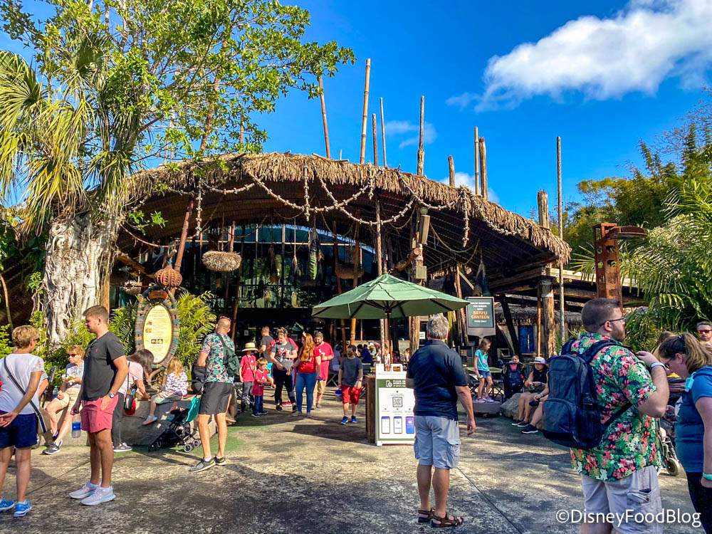 How You Should Spend Your Money in Animal Kingdom | the disney food blog