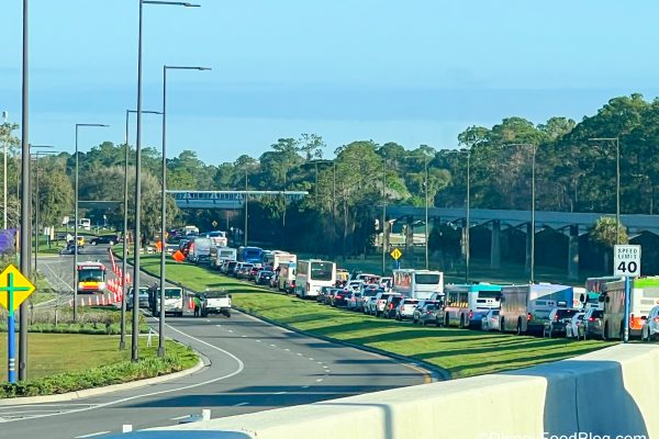 Heads Up! Several Road Closures To Hit Disney World This Weekend