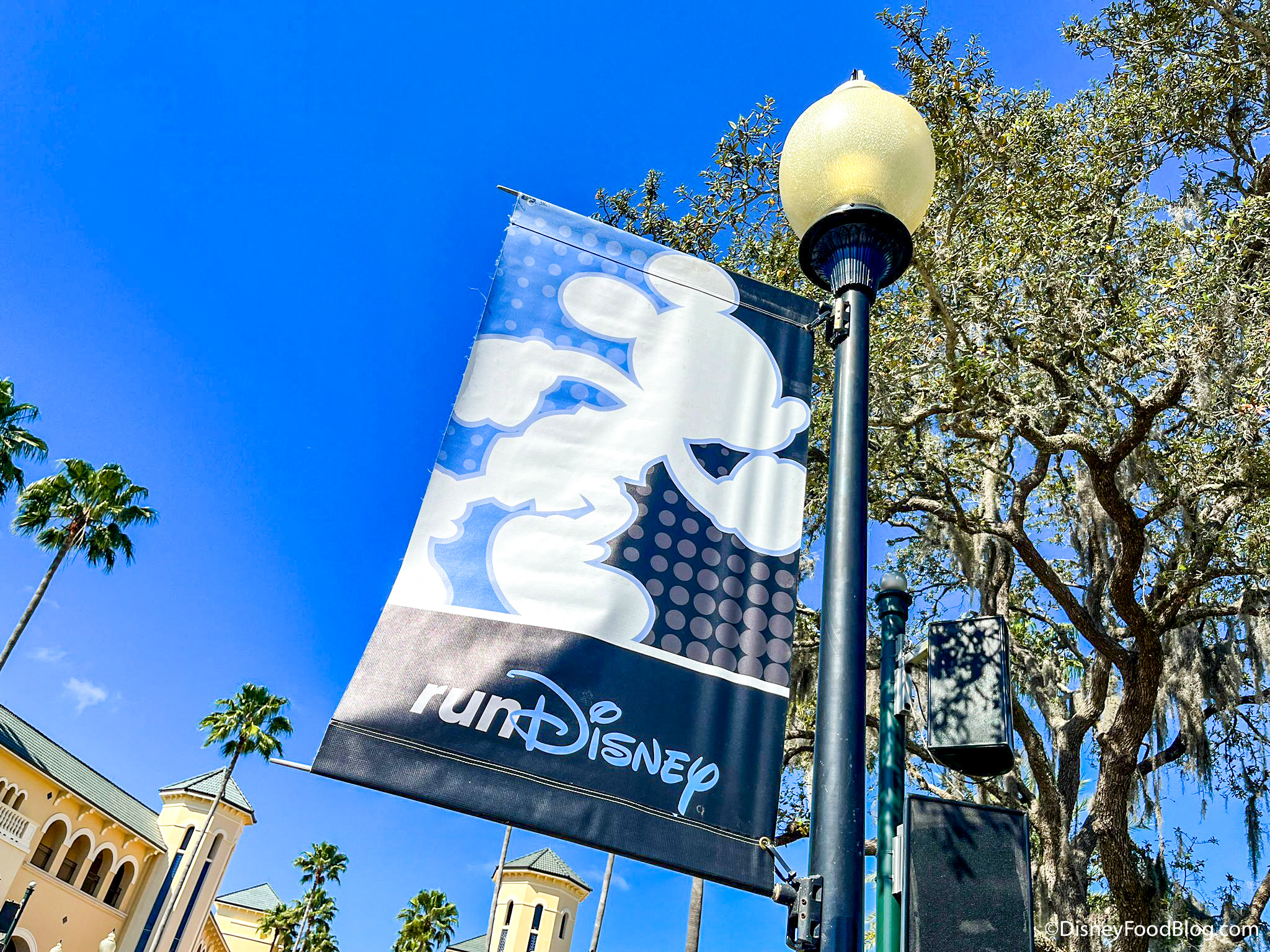 NEWS: Prices, Registration Date, and MORE Revealed for runDisney’s ‘Frozen’-Themed Virtual Races!