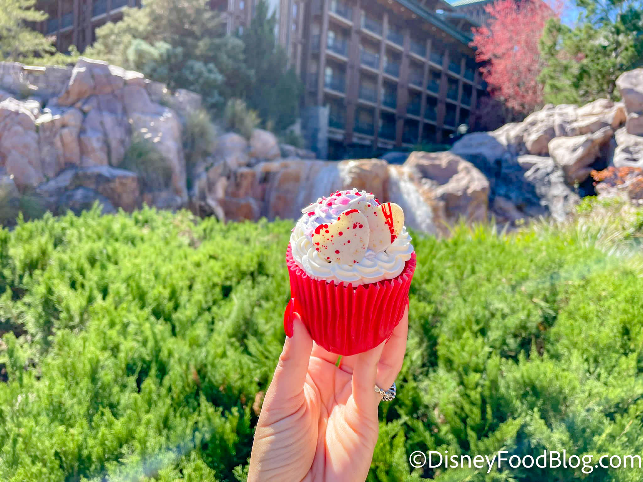 Will You Make it to Disney World in Time to Try One of the BEST Cupcakes?!