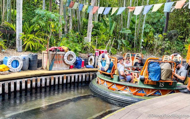 4 Rides That Will Make You REGRET Your Decisions in Disney World 🙈 ...