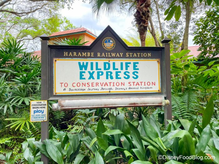 2022-wdw-dak-ride-wildlife-express-700x5