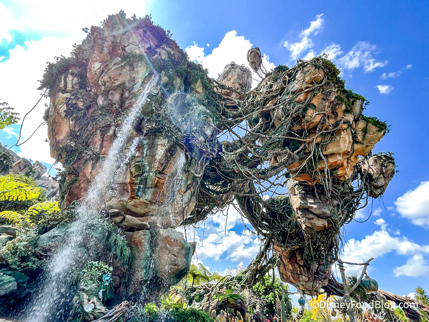 Avatar Flight Passage in Pandora -- Disney Animal Kingdom | the disney food blog