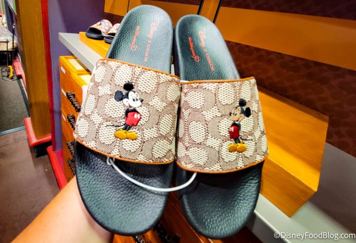 DISNEY x COACH Disney 100th Anniversary Limited Collection • TDR