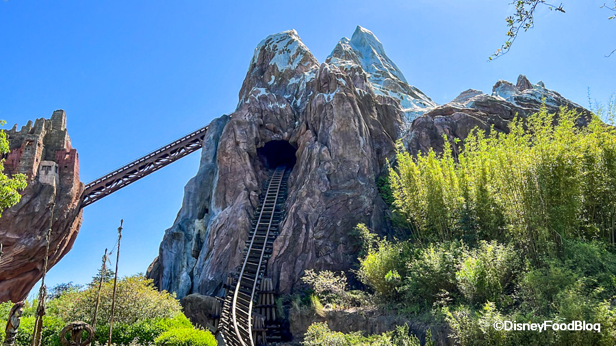 What's New in Animal Kingdom: Construction, Aliens, Yetis, and More!