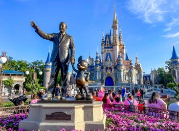 11 Items for Almost Any Kind of Disney World Emergency | the disney ...