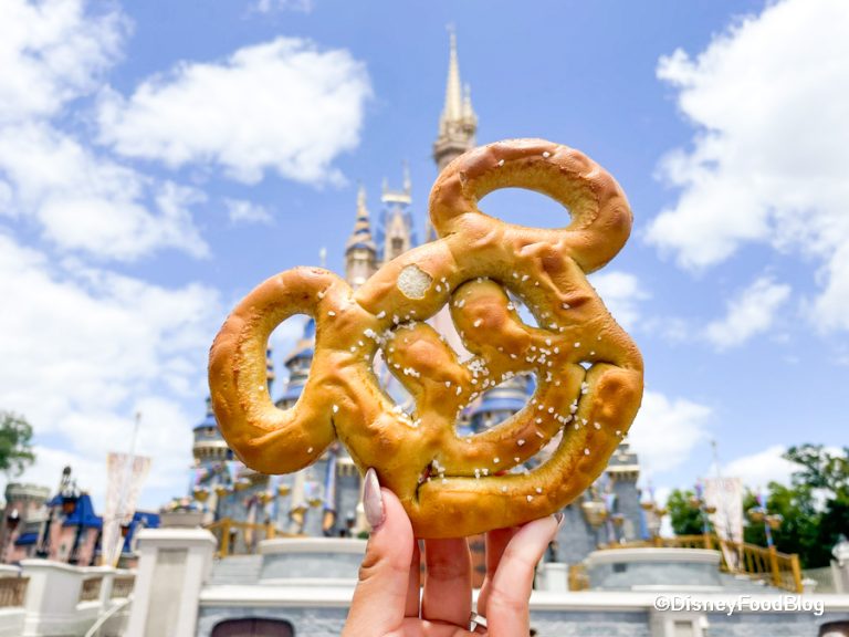 The BEST Snacks to Carry in Your Disney World Park Bag (And What to