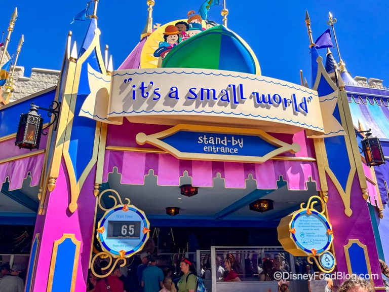 HURRY! Grab Disney World's Newest Loungefly Before It's Gone! the