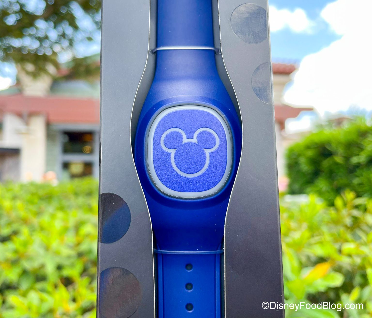 Everything PLUS About MagicBand+ in Walt Disney World and Disneyland ...