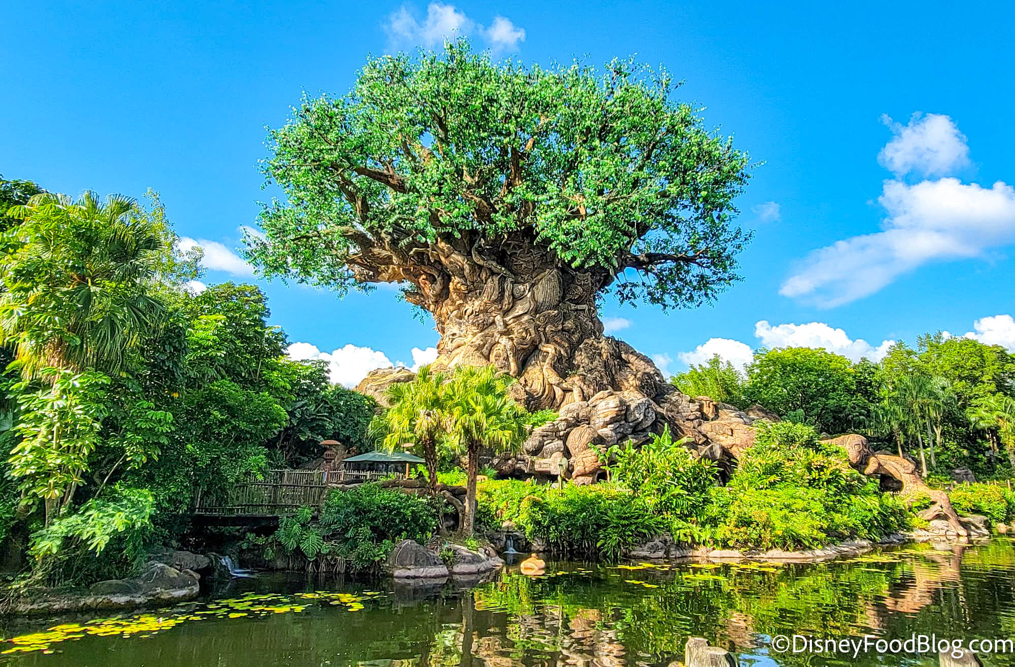 What's New in Animal Kingdom: An Updated Attraction Reopens While Another  Temporarily CLOSES | the disney food blog