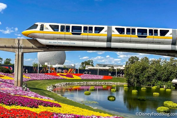 5 Cheap Amazon Finds That Absolutely Save the Day in Disney World