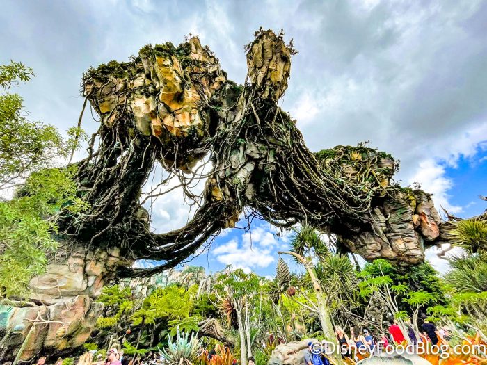 Disney World Blog Discussing Parks, Resorts, Discounts and Dining  Only  WDWorld: Disney's Animal Kingdom DINOSAUR Attraction Has A Code For You To  Solve