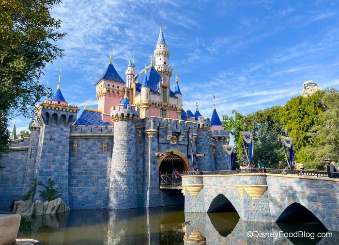 Disneyland Sleeping Beauty Castle by Loungefly in 2023
