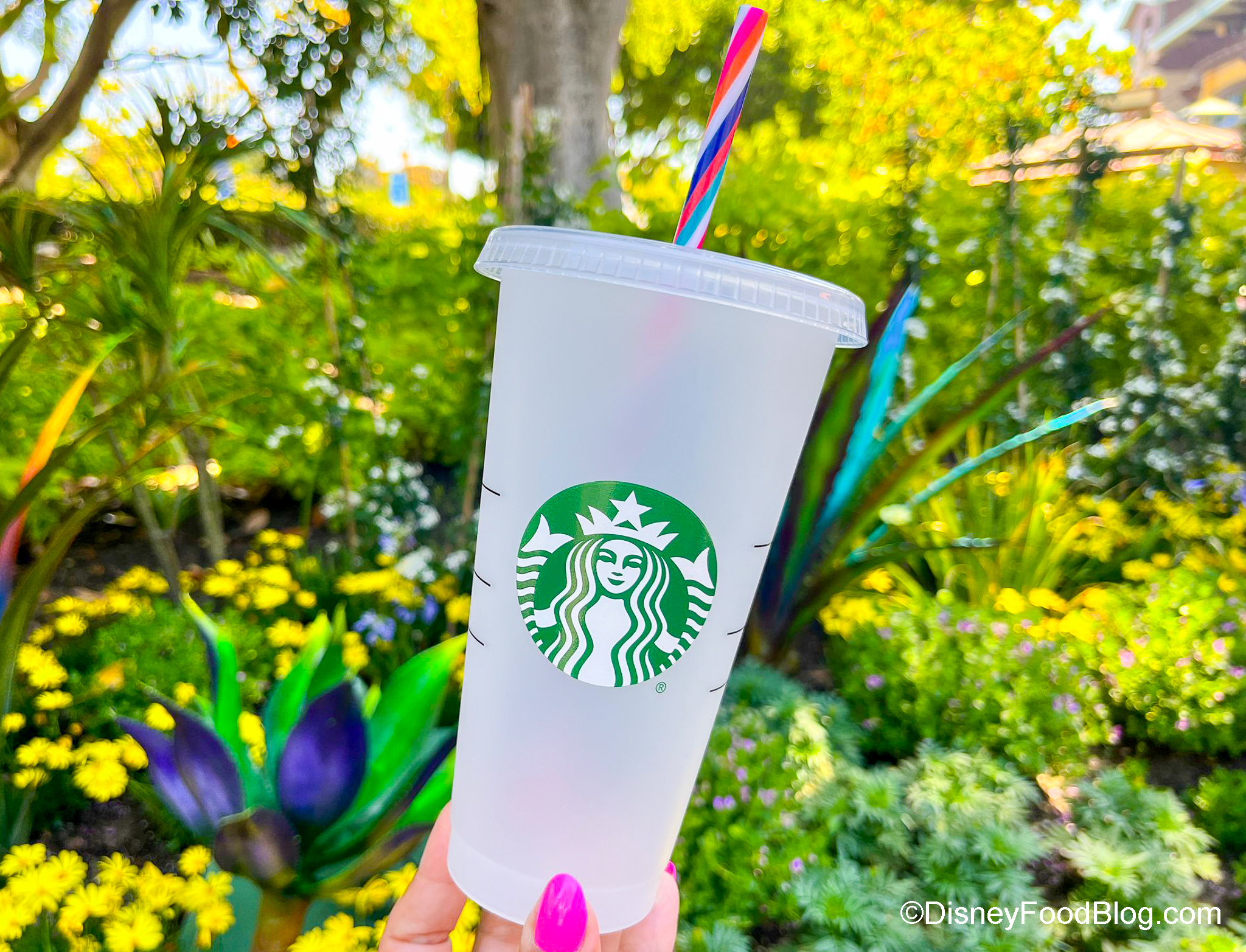 Starbucks Has New Color-Changing Cups for All the Iced Coffee Drinkers