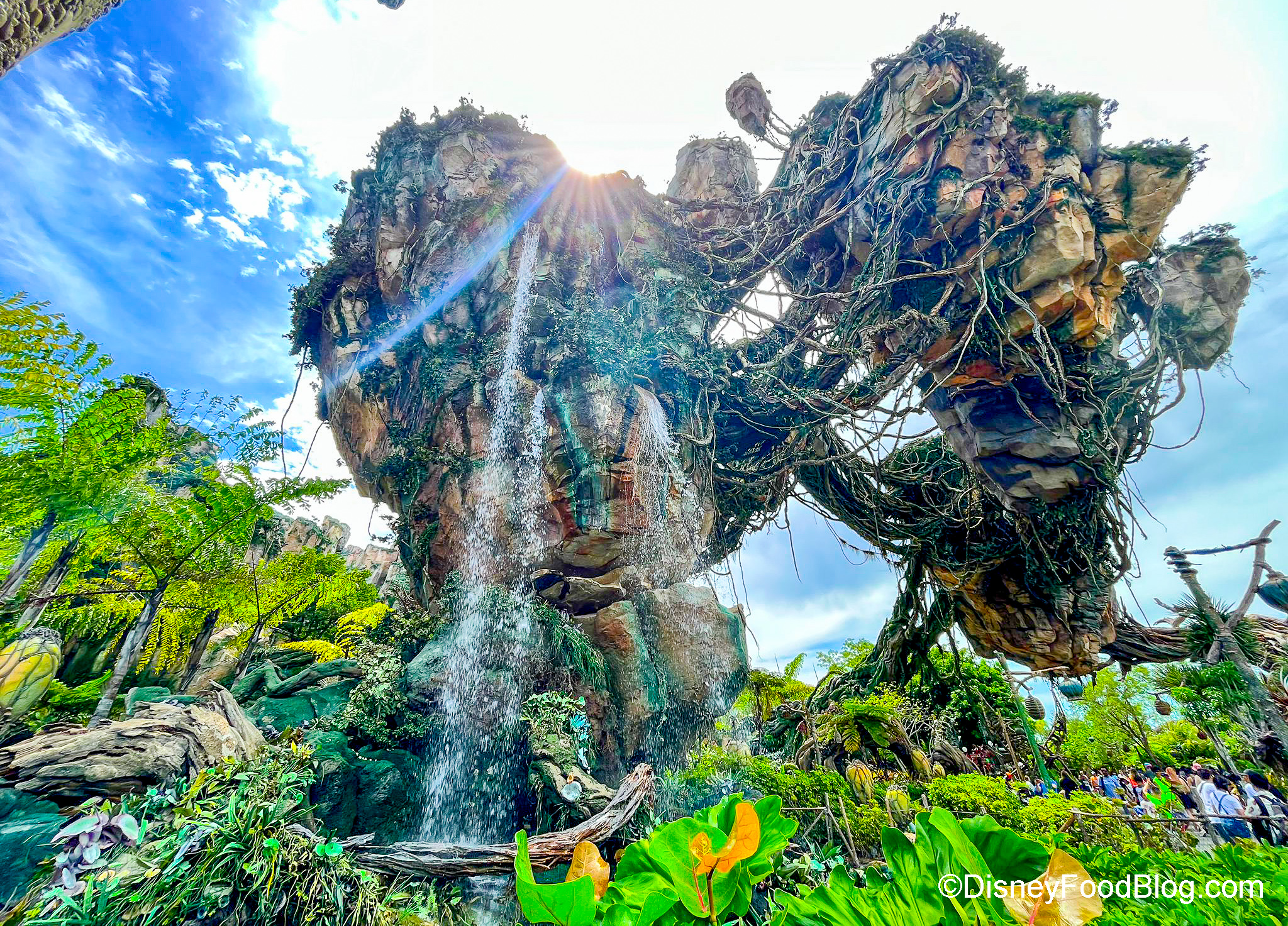 Pandora - The World of Avatar in Disney World's Animal Kingdom | the disney  food blog