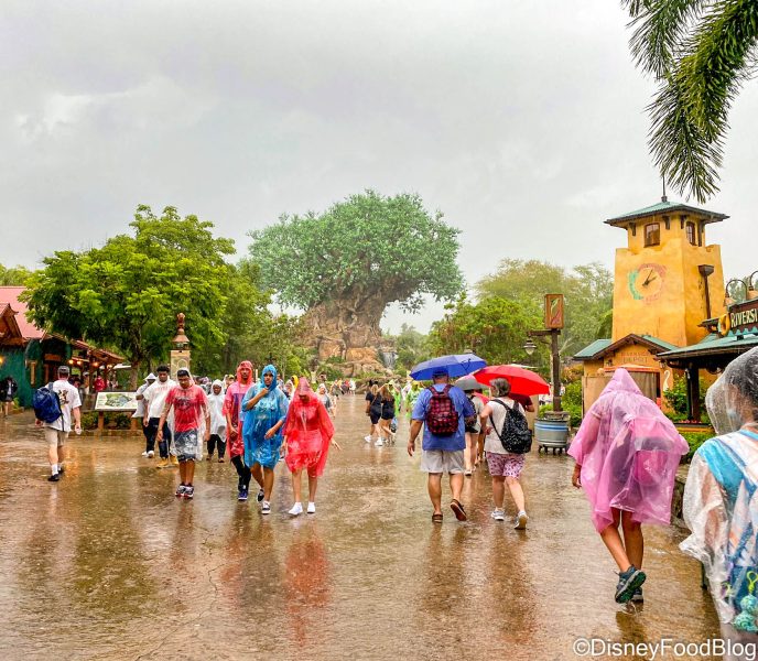 rainy day in the parks