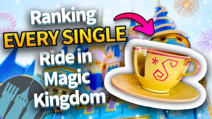 DFB Video: Ranking EVERY SINGLE Ride in Magic Kingdom | the disney food ...