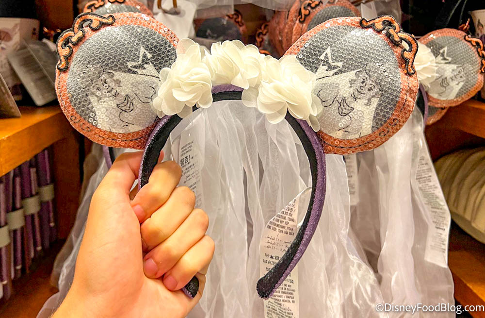 Disney Park Souvenirs that you can buy on  (because some of us can't  make it to the Parks) - Kiss My Tulle