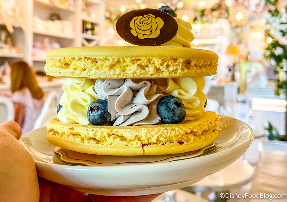https://www.disneyfoodblog.com/wp-content/uploads/2022/07/2022-indianapolis-broad-ripple-village-the-cake-bake-shop-by-gwendolyn-rogers-dessert-macaron-lemon-blueberry-marie-antoinette-2.jpg