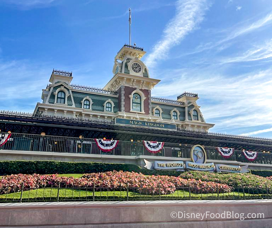 When Will Walt Disney World Railroad Reopen? - Disney Tourist Blog