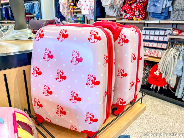 Disney Packing List (25 Things You Might Forget to Bring) - Travel Lemming