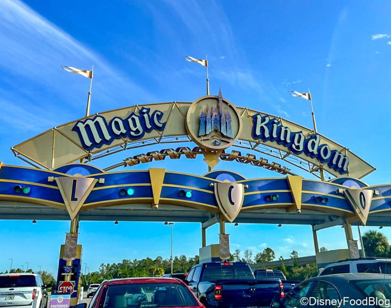 Disney Fans Are Super Confused About Park Hopping — Let's Straighten It ...