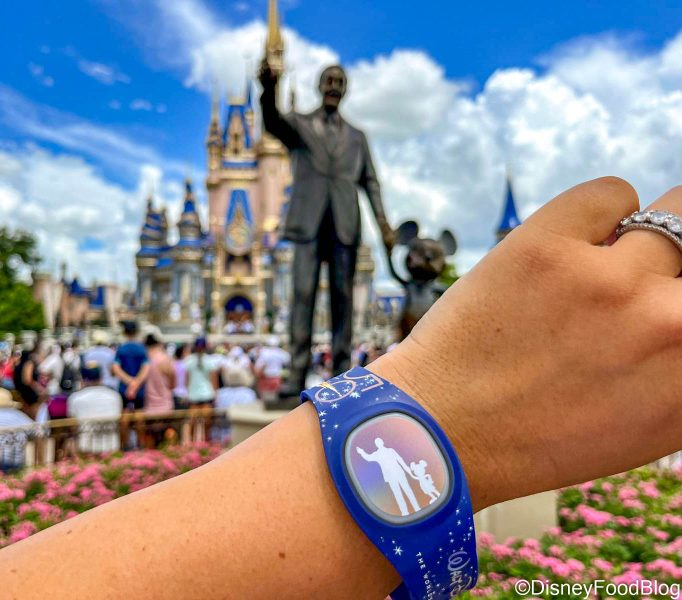 PHOTOS: Limited Edition NBA at Disney World 24 MagicBand Boxed Set with  Gold Finals Champion Band & All Other Playoff Merchandise Now Available  Online - Disneyland News Today