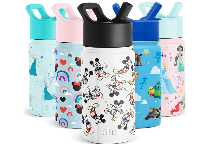 8 Disney Water Bottles That Are Perfect for the Parks! | the 