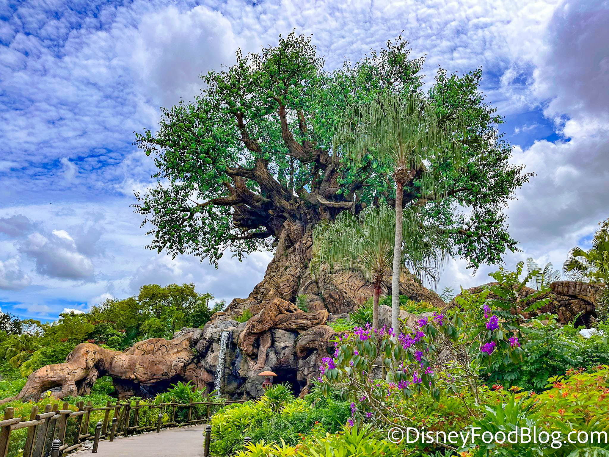 Planters Removed From Around Aladar and DINOSAUR Fountains in Disney's Animal  Kingdom - WDW News Today