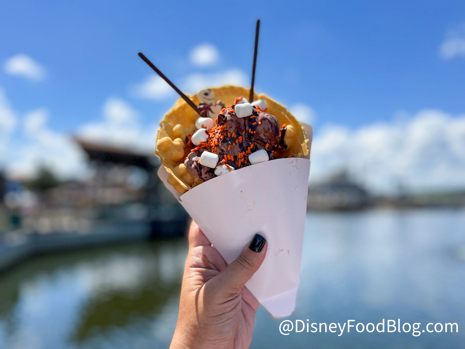 2022 Jack Skellington Bubble Waffle Disney Springs Halloween Treat Lake