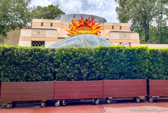 Disney World Blog Discussing Parks, Resorts, Discounts and Dining  Only  WDWorld: Disney's Animal Kingdom DINOSAUR Attraction Has A Code For You To  Solve