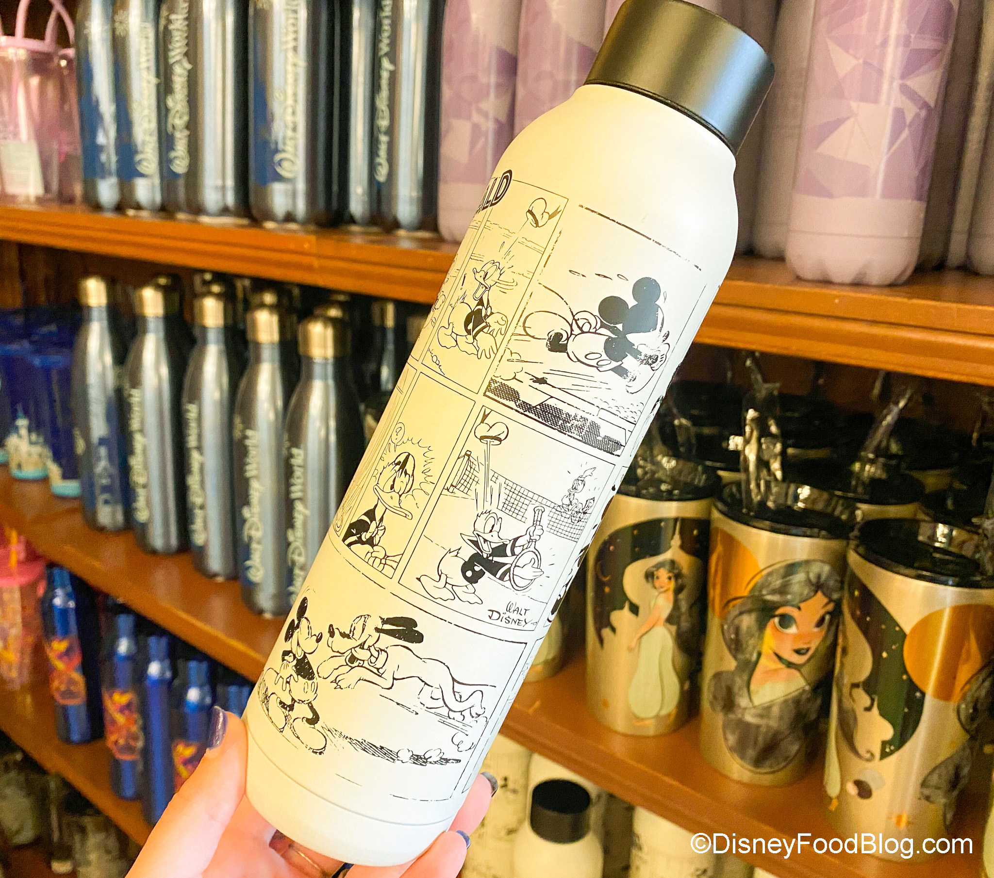Aladdin ''A Whole New World'' Stainless Steel Water Bottle Live Action Film Customized - Official shopDisney
