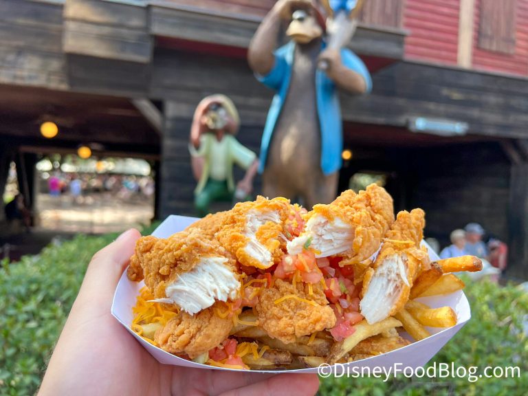 REVIEW We're Eating Chicken Tenders with Taco Toppings in Disney World