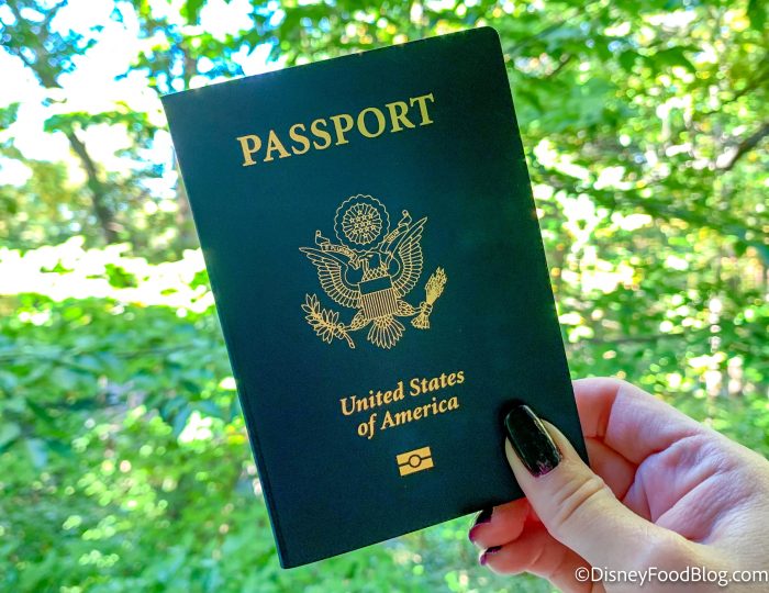 2022-travel-passport-united-states-airpo