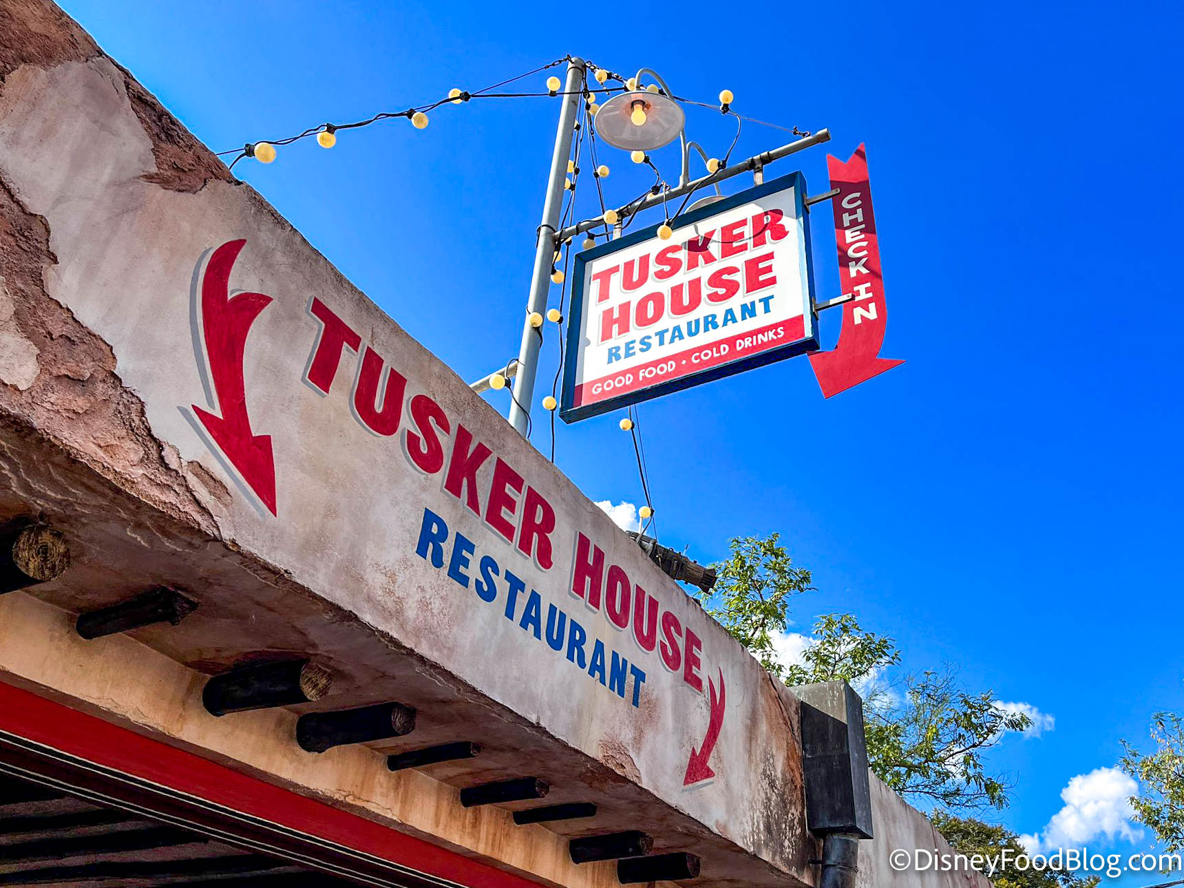 PHOTOS: Buffets Have Returned to Tusker House in Disney's Animal Kingdom! |  the disney food blog