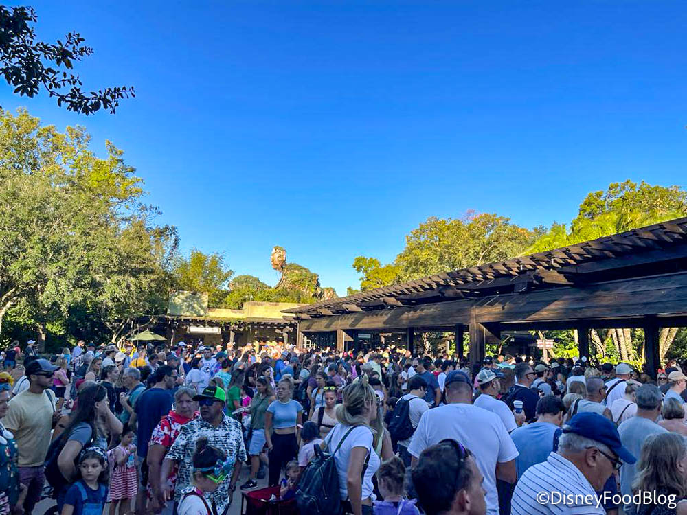How Has the Holiday Weekend Affected Crowds in Disney World? | the disney  food blog