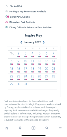 Magic Key Holders Can Now Book Reservations for Disney's 100th ...