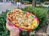 Typhoon Lagoon vs. Blizzard Beach — Disney World Water Parks Showdown