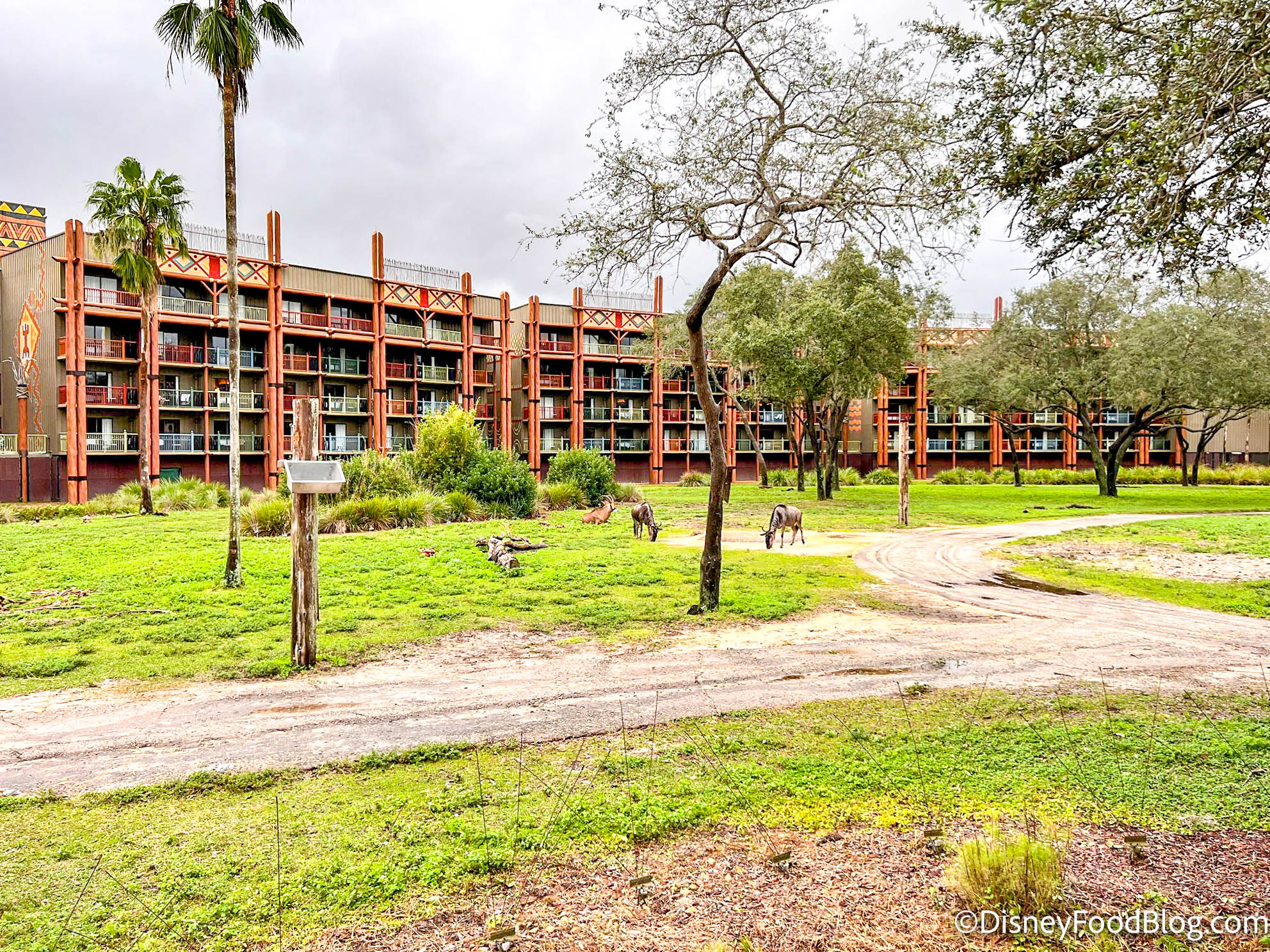 Power Outage Scheduled for Disney's Animal Kingdom Lodge | the disney food  blog