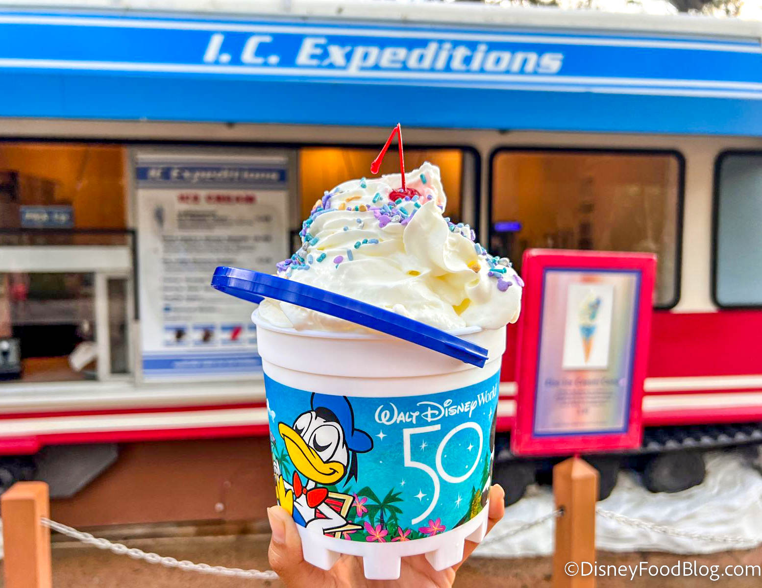 REVIEW: The BUCKET Full of Ice Cream at Disney's Blizzard Beach Water Park